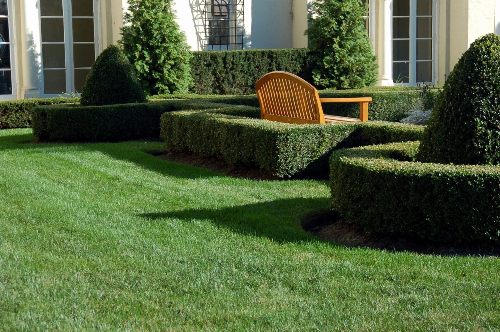 Eastern Green A garden with green bushes and a bench